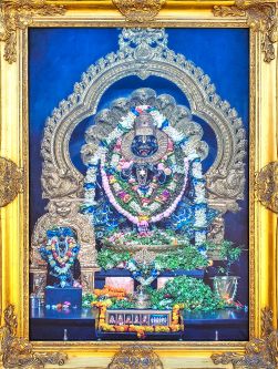 Framed Canvas of Lord Narasimha Dev